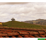 WineTour 00038.png WineTour 00038.png